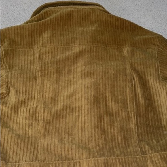 Thin corduroy jacket - Picture 5 of 5